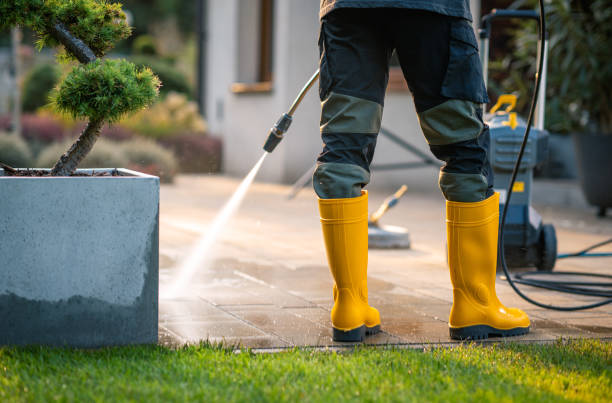 Best Roof Power Washing Services  in Vadnais Heights, MN